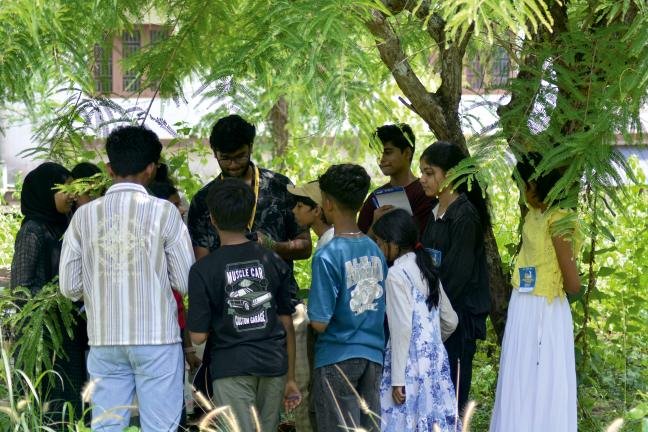 Students surveying a green area in groups